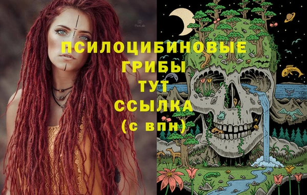 ECSTASY Алзамай