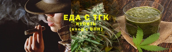 ECSTASY Алзамай