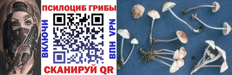 Галлюциногенные грибы ЛСД  купить наркотик  Удачный 